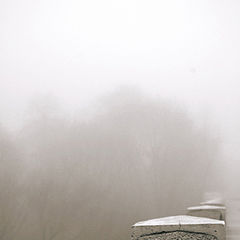 фото "Fog"