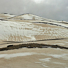 photo "lines"