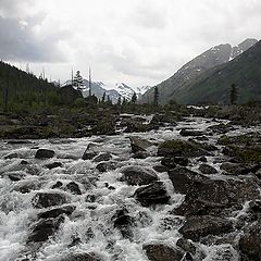 photo "Mountain stream"