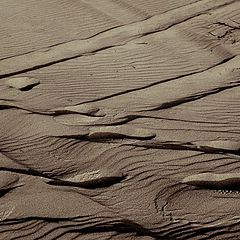 photo "The evening sand"