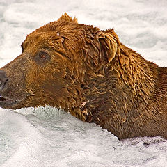 photo "Would you like to join me in my jacuzzi?"