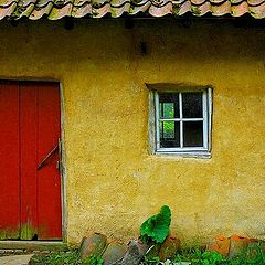 фото "red door"