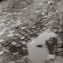 photo "gloomy pools"