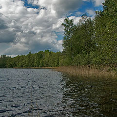photo "Reserved lake..."