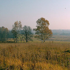 фото "Осенняя."