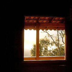 фото "A window"