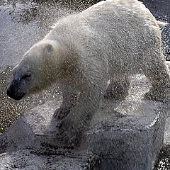 фото "после водных процедур"