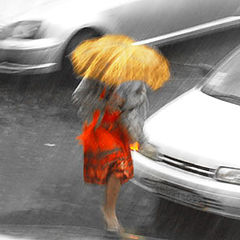 photo "Rain"