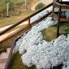 фото "Beautiful Balcony"