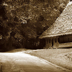 photo "house by the road"