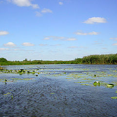 photo ""Киевское море""