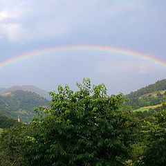 фото "rainbow"