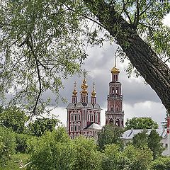 фото "Птички у Девички."