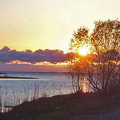 фото "Закат на Финском заливе"