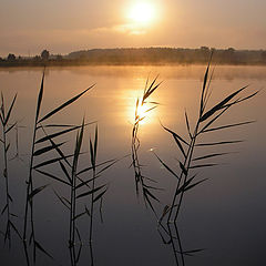 фото "Отражения"
