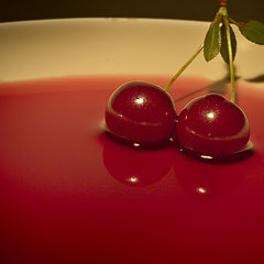 photo "Sour cherry in Red Zin"