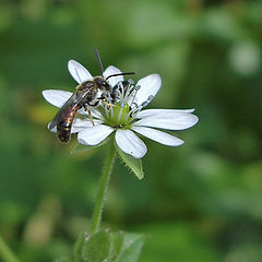 photo "It is time to have dinner"