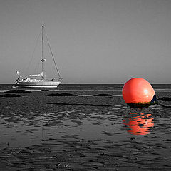 photo "Stranded !!"