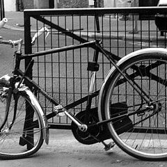 photo "The life of bicycles in Paris is heavy"