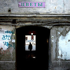 фото "цветы"