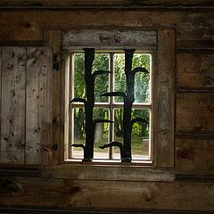 фото "а были и такие..."