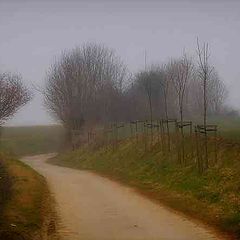 photo "misty winter morning"