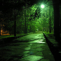 фото "Ночная дорога"