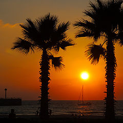 photo "Hot sunset in Marina 2"