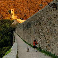 photo "Spoleto bridge"