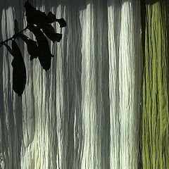 фото "summer morning at my window"