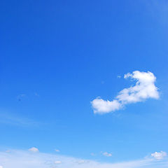 photo "***"