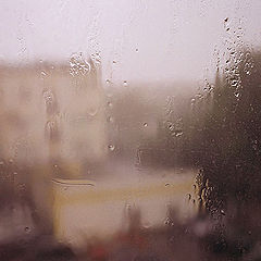 photo "Evening summer rain"