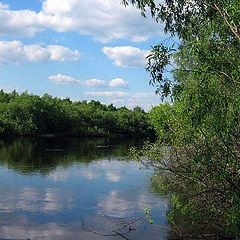 photo "Green and blue landscape"