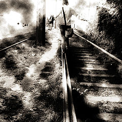 photo "walking the thin line..."