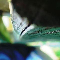album "Macro Objects / Abstract"