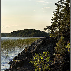 photo "Evening in Kareliya."