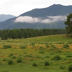 photo "Altay morning"