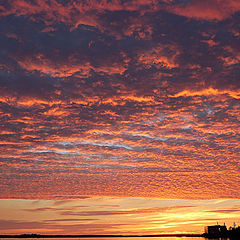 photo "The colours of the august sunset"