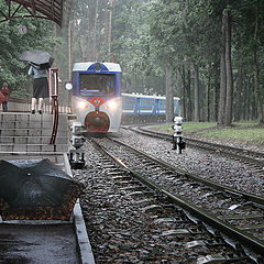 photo "Rain, umbrellas and the children's railway"