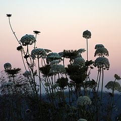 photo "Twilight time"