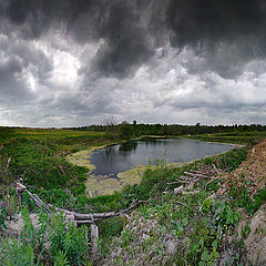 фото "Скоро гроза"