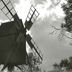 фото "windmill"