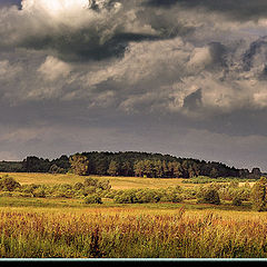 photo "...my Dark Land..."