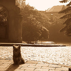 photo "the guard"