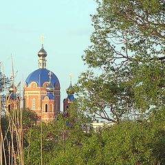 photo "Temple amongst branches"