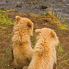 photo "Nothing like spending time with your sibling"