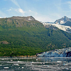 photo "Summer in Alaska"