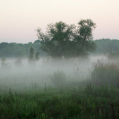 фото "утро"