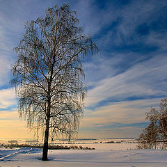 фото "Зимнее небо"