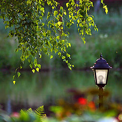 photo "Lantern"